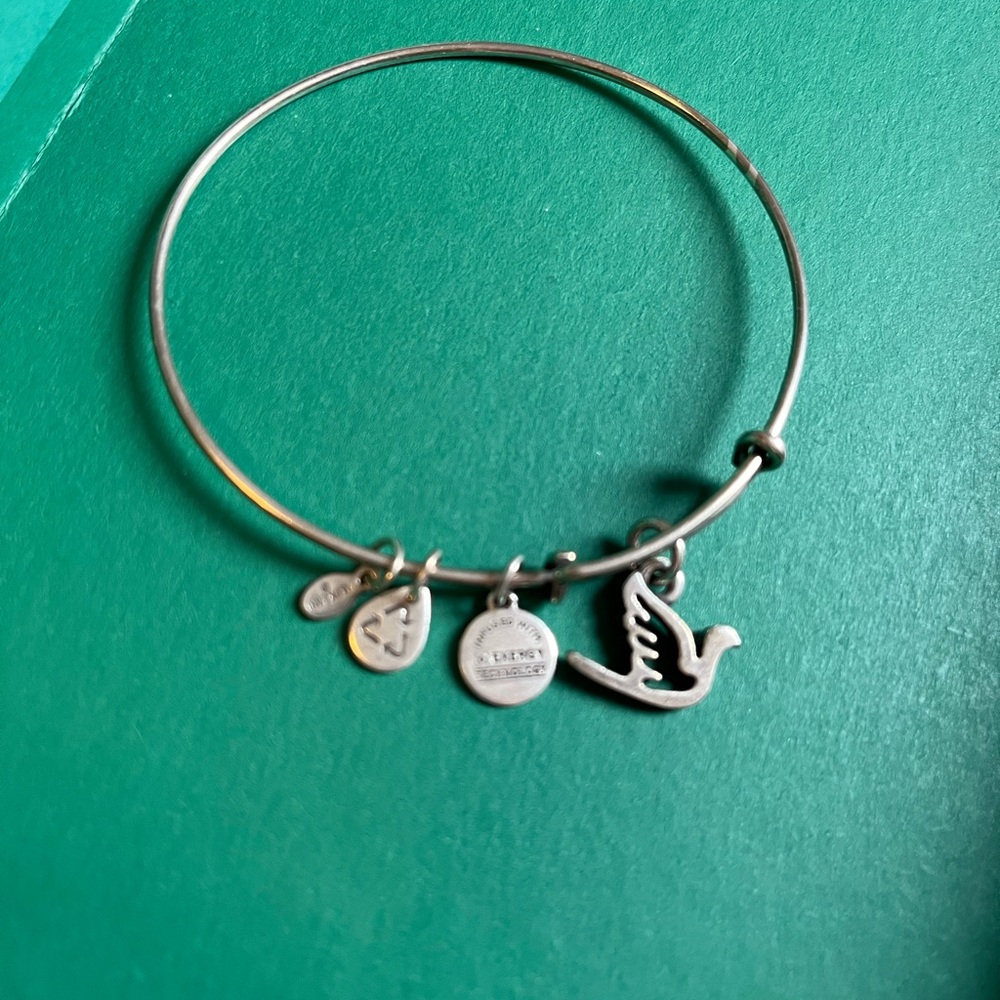 Bird Alex and ani bracelet silver tone